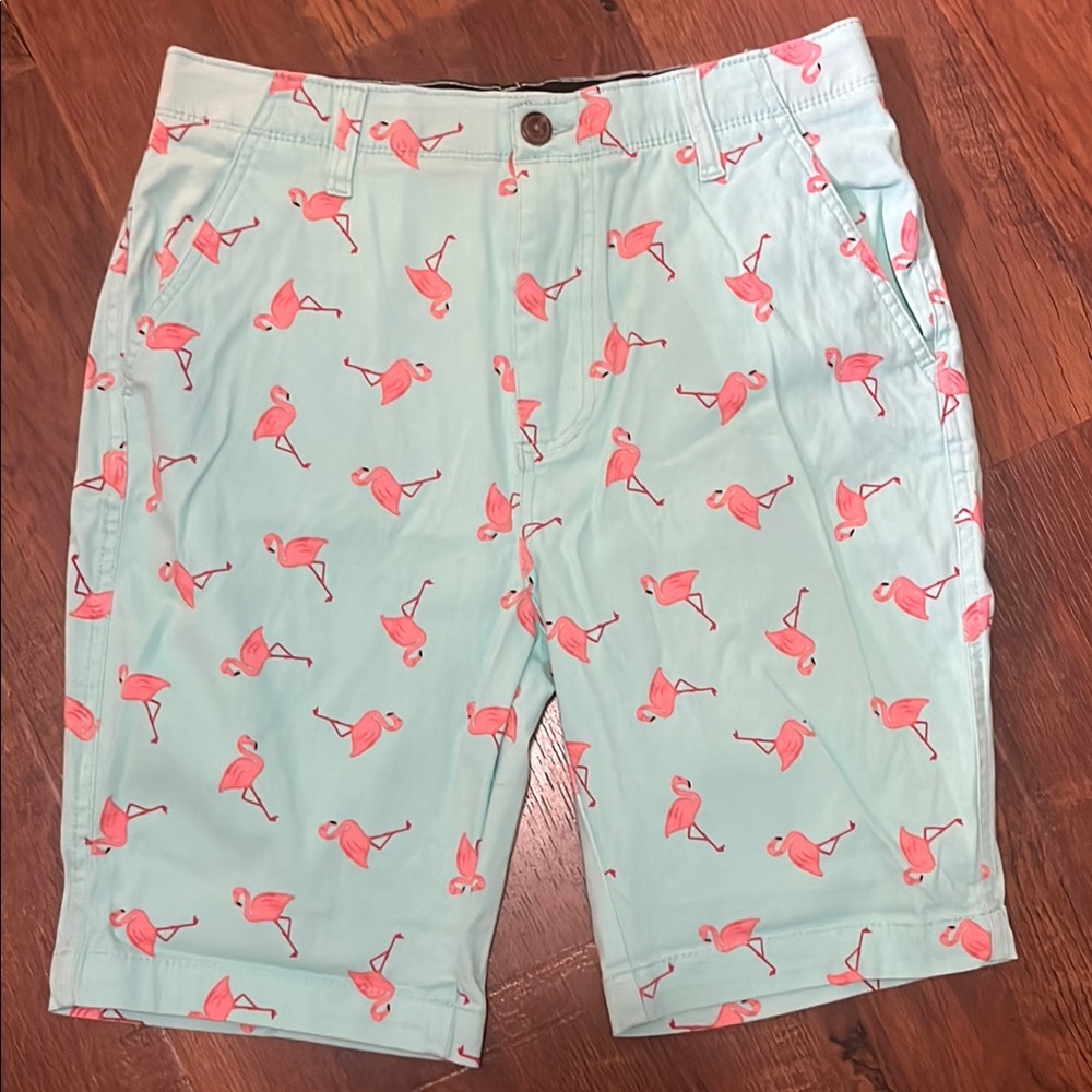 Plugg Men's Flat Front Shorts with Flamingo Print